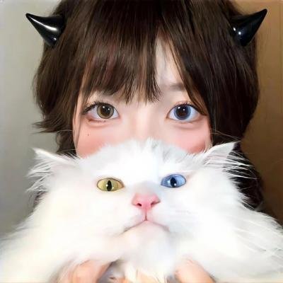 希区柯克与特吕弗国语